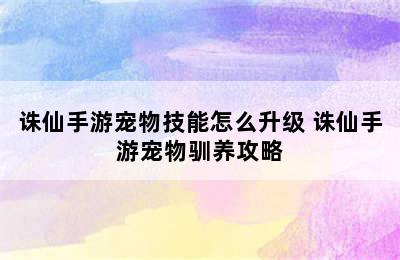 诛仙手游宠物技能怎么升级 诛仙手游宠物驯养攻略